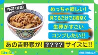 牛丼がミニチュアになっちゃった!? 