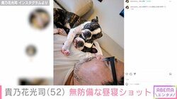 元横綱・貴乃花光司、愛犬との無防備な昼寝ショット公開 「癒やされます」「最高の時間ですね」と反響