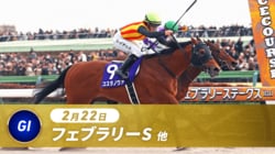 フェブラリーステークス2026完全ガイド｜有力馬・視聴方法・コース傾向