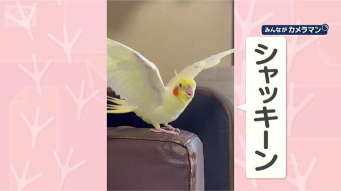 さらに決めポーズ！！！