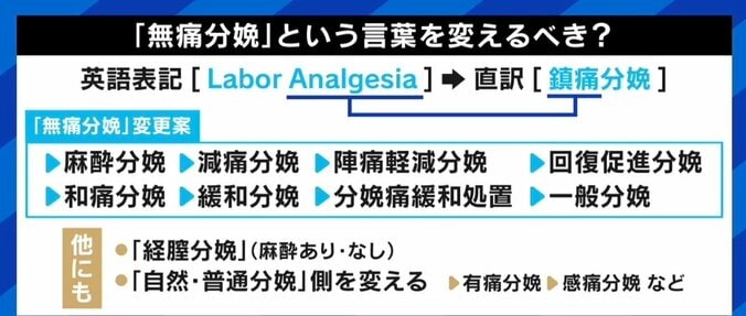 「無痛分娩って名前やめませんか？」偏見打破に必要なコトは？ 柏木由紀「和痛分娩」、柴田阿弥「そのままでいい」 1枚目