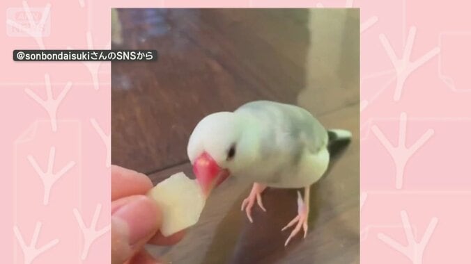 おやつをパクパク