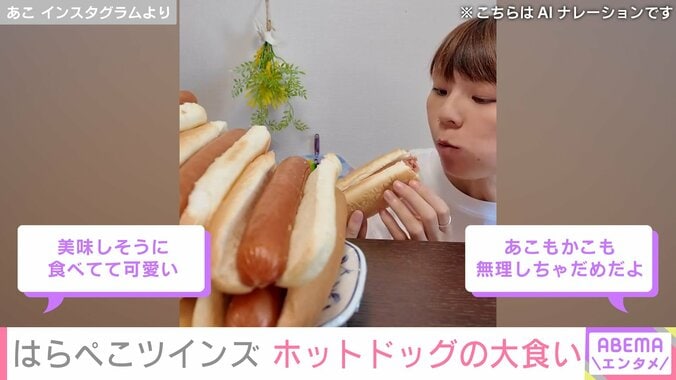 【写真・画像】うつ病告白 入院し活動休止していた大食い双子姉妹YouTuber・はらぺこツインズ、ホットドッグの大食いを披露　2枚目
