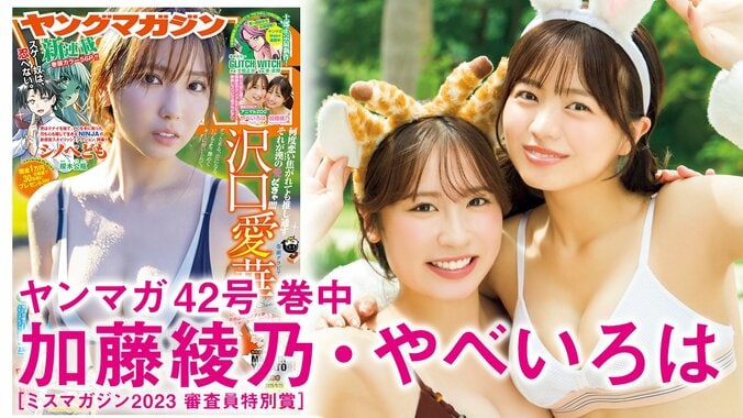 「アニマルZOO」加藤綾乃＆やべいろは、同じ大学の同級生アイドルが初グラビア　『ヤンマガ』巻中 2枚目