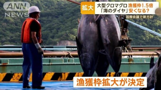 日本の漁獲枠拡大