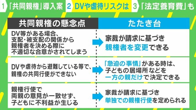 「相手と関わりたくない」反対の声も…離婚後の「共同親権」導入加速 虐待やDVのリスクは？ 専門家に聞く 3枚目