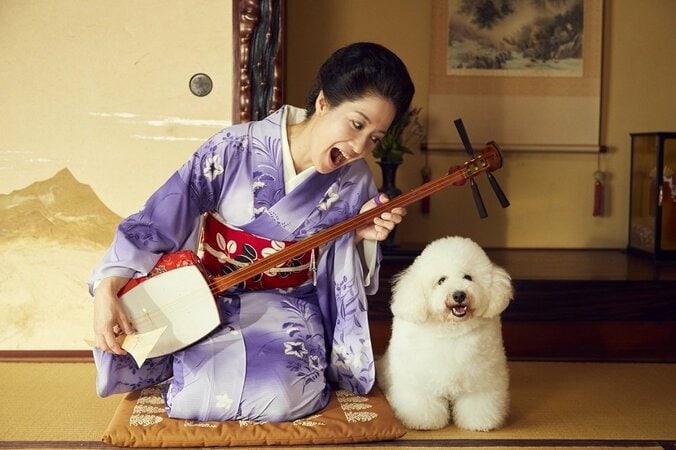 尼神インター・渚、誠子に続き女優デビュー　ドラマ『僕とシッポと神楽坂』で芸者役に 2枚目