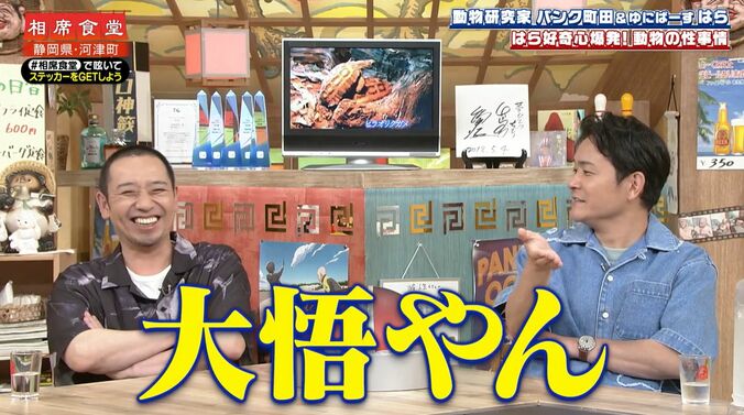 【写真・画像】カメのリアルすぎる交尾に千鳥が衝撃「大悟やん」　2枚目