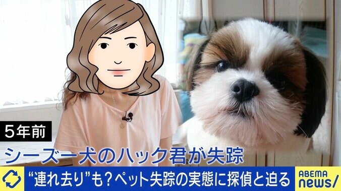発見率7割！迷子の犬猫など 5000匹救出「ペット探偵」捜索のポイントは「『悪意がない』第三者の関与も視野に」 7枚目
