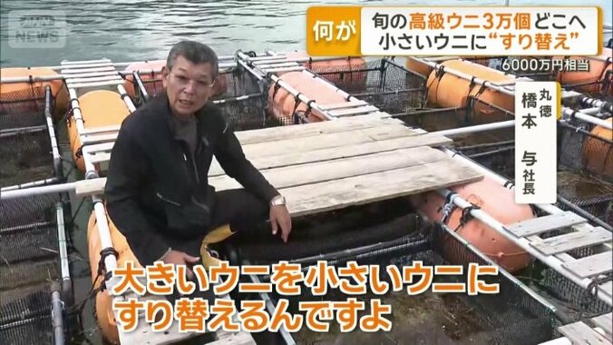 被害に遭ったウニ約3万個