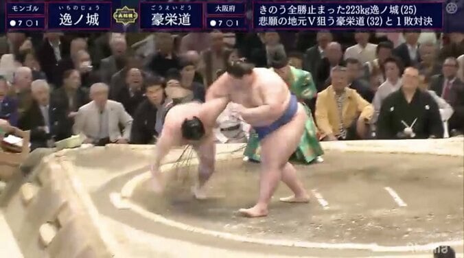 ファン大興奮「強いぞイチコ！」226キロ逸ノ城、好調大関を投げ飛ばす　優勝戦線へ1敗キープ 1枚目