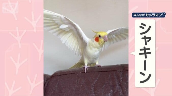 まだまだ決めポーズ！！！！