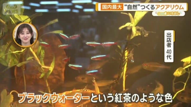 「南米のネグロ川を再現」