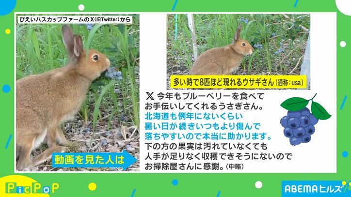 野生の“従業員さん”? 農園になくてはならない働きぶりに「素敵な関係」「win-winでほっこり」の声