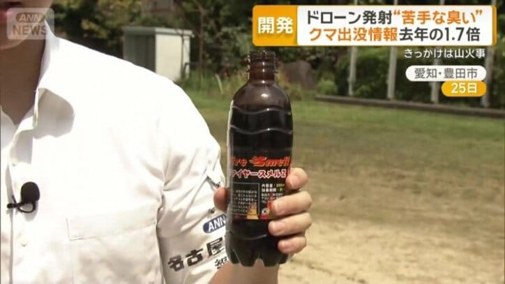 茶色い玉の中身