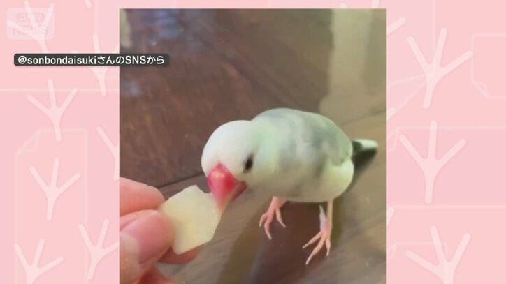 おやつをパクパク