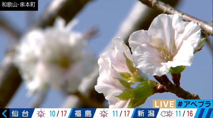 【美人コスプレ気象予報士まとめ】スキー場で光る、滑る、天気伝える