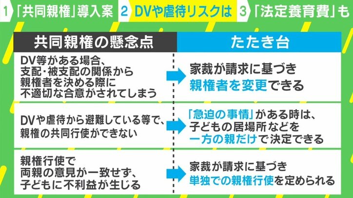 「相手と関わりたくない」反対の声も…離婚後の「共同親権」導入加速 虐待やDVのリスクは? 専門家に聞く