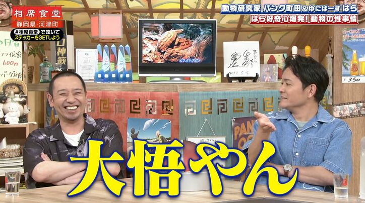 【写真・画像】カメのリアルすぎる交尾に千鳥が衝撃「大悟やん」　2枚目