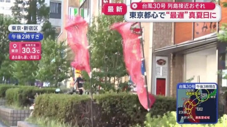 強風で激しく揺れるのぼり