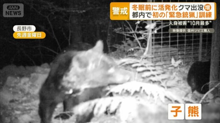 長野市で撮影されたツキノワグマと子グマ