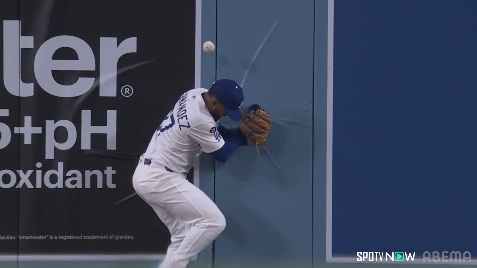 【写真・画像】　1枚目