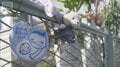 刑法“胎児への被害”認めない…なぜ　妊婦死亡事故で“実刑判決”禁錮2年6カ月