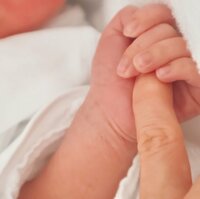 紺野あさ美『ご報告』