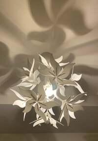 LiLiCo『病院へ❣️』