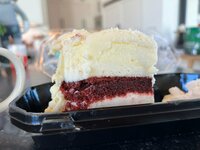 Seiko Darvish『一息ついて』