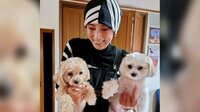がん闘病の秋野暢子、愛犬と再会！成長に「うるうる」