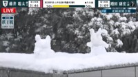 【映像】村山慈明八段&貞升南女流二段が作った謎の雪だるま