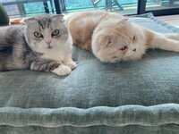 くみっきー『里帰り出産と産後院』