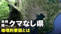 【映像】本州唯一“クマなし県”の地理的要因