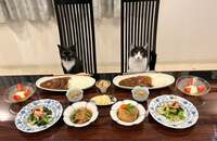 藤あや子『昨日の晩ごはん』