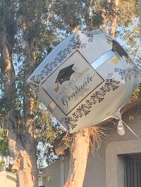 武田久美子『良かった目印』