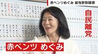 【映像】広瀬めぐみ氏 秘書給与詐取疑惑