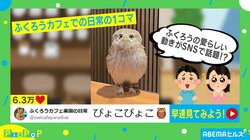 体を縮ませたり伸ばしたり…ふくろうカフェでの愛らしい日常の1コマが「おはよ！おはよ！かな？」「なんだこの可愛いお迎えは！」と話題