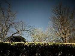 女優・古村比呂、病院で検査結果を聞く時にしていること「自分を少し冷静にしてくれる」 