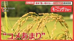 「コメあまり」深刻な実情　業者が新米「買い取れない」農家困惑　備蓄米買い戻し決定
