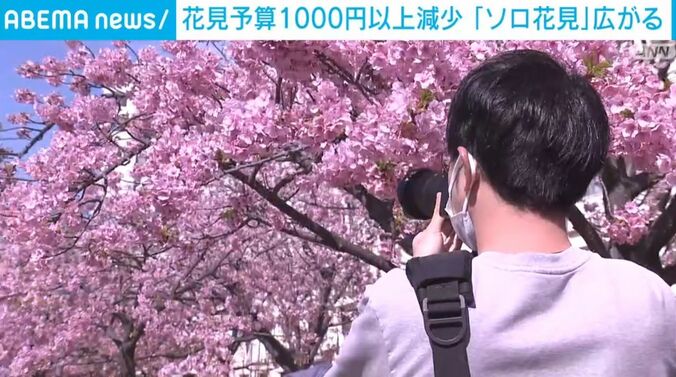 桜の花を撮影する人