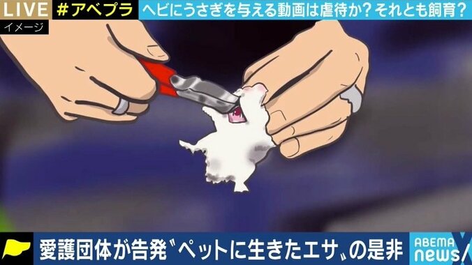“生きたエサ食べさせる動画” 一体どこまで制限すべき? YouTuberを刑事告発した動物愛護団体代表と議論 1枚目