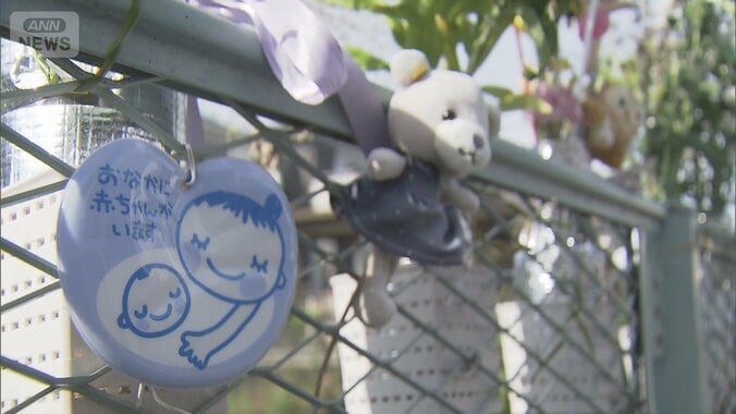 刑法“胎児への被害”認めない…なぜ　妊婦死亡事故で“実刑判決”禁錮2年6カ月 1枚目