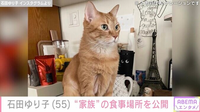 【写真・画像】オシャレな自宅が話題・石田ゆり子（55）、愛猫の食事場所を公開し反響「フランスの香りがします」「ステキ」　2枚目
