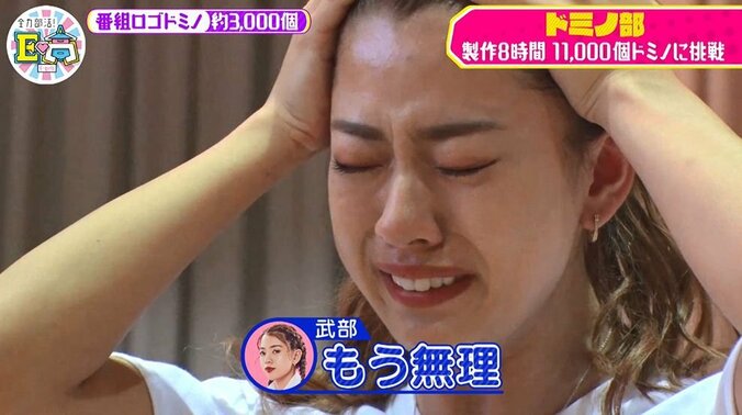 「もう無理」メンバーの武部が号泣！ E-girls、11,000個ドミノに挑戦するも制限時間ギリギリでメンタル崩壊寸前 1枚目