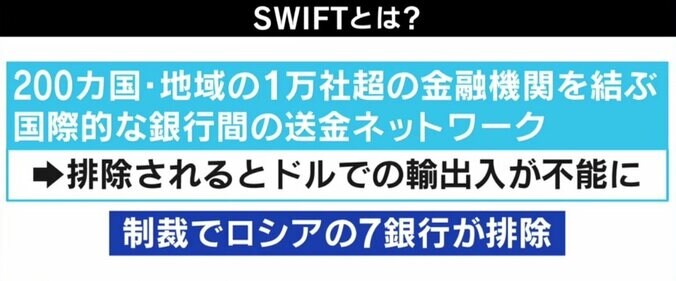 経済制裁で核使用の確率が上昇？ ロシア“北朝鮮化”に懸念の声も…戦争を終わらせる策は 3枚目