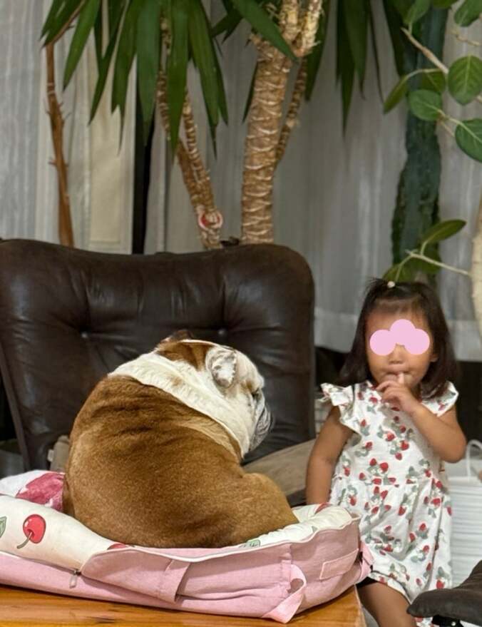 【写真・画像】SNS下書き_241218更新　※※露出系は配信先「nor.」を外すこと！！※※　2枚目