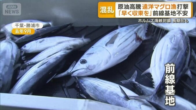 マグロとカツオ漁の前線基地・勝浦漁港