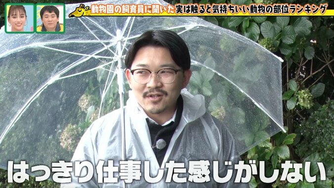 オズワルド伊藤、40分遅刻で雨の動物園ロケ「仕事した感じがしない」と不完全燃焼 1枚目