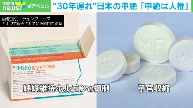 高校時代に予期せぬ妊娠…国内初「経口中絶薬」が与える選択肢 4枚目